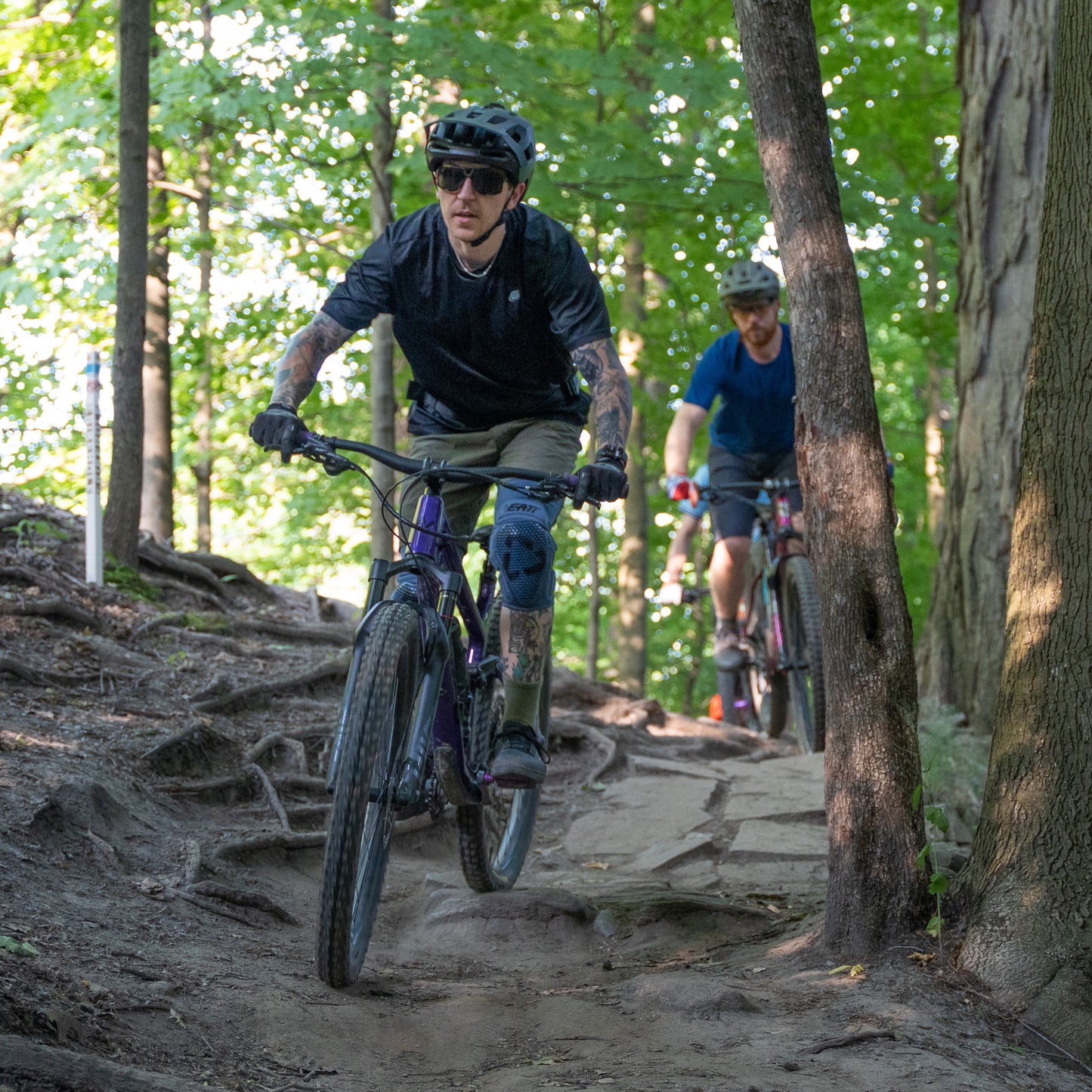 Guided Trail Tours